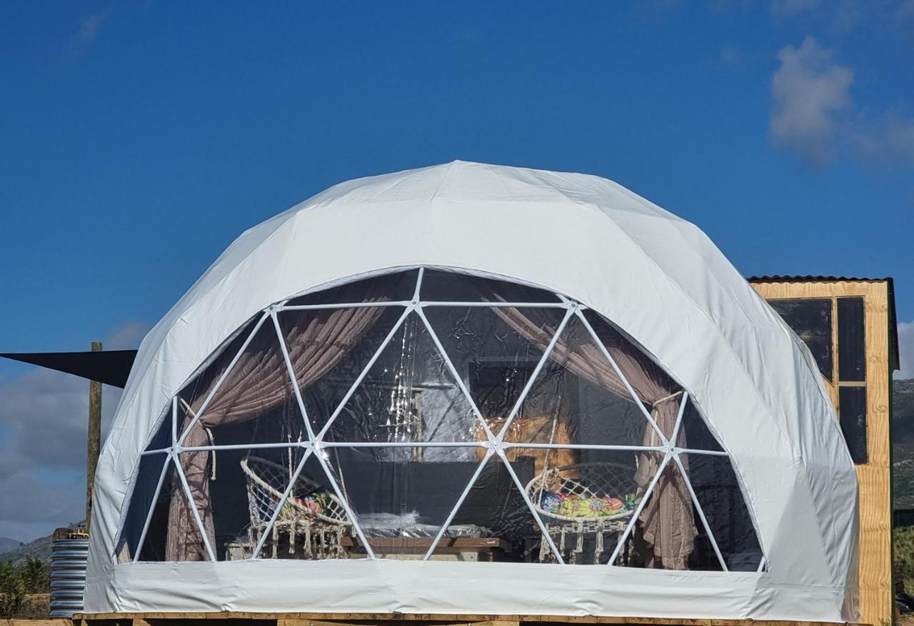 Hotel Pom Gratz - Ecodomes Hartebeesrivier Zewnętrze zdjęcie