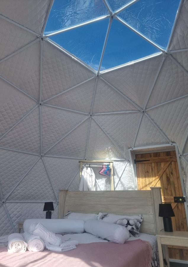 Hotel Pom Gratz - Ecodomes Hartebeesrivier Zewnętrze zdjęcie
