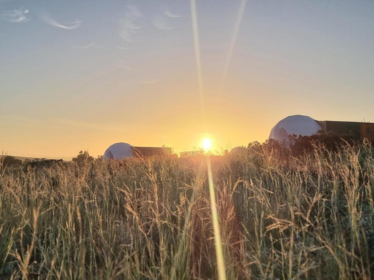 Hotel Pom Gratz - Ecodomes Hartebeesrivier Zewnętrze zdjęcie